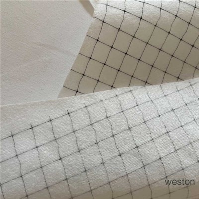 Reinforced Spunlace With Plastic Wire